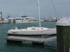 At Conch Republic Seafood Marina